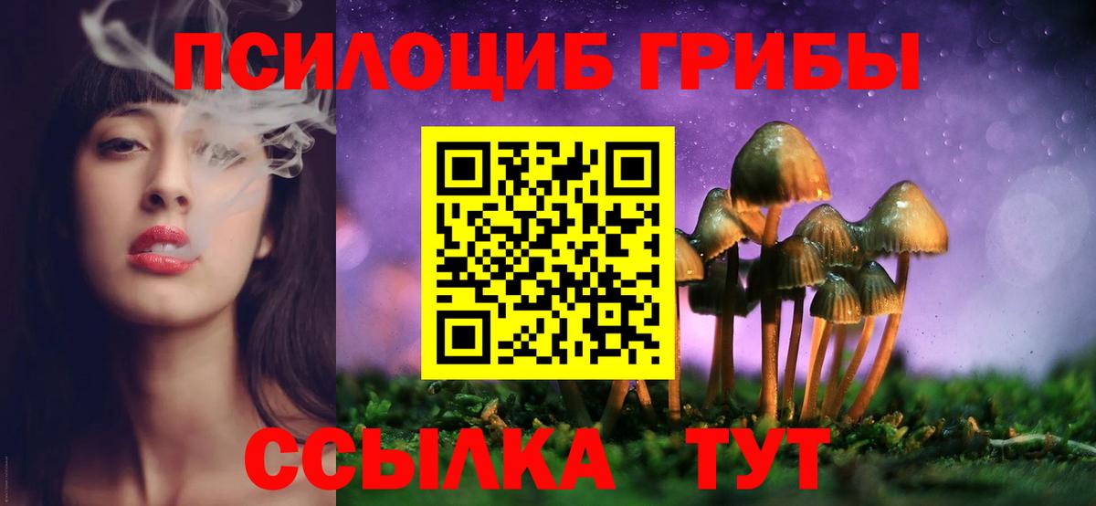 Галлюциногенные грибы мицелий  магазин  наркотиков  Вход с VPN  Сургут  Галлюциногенные грибы Psilocybine cubensis 