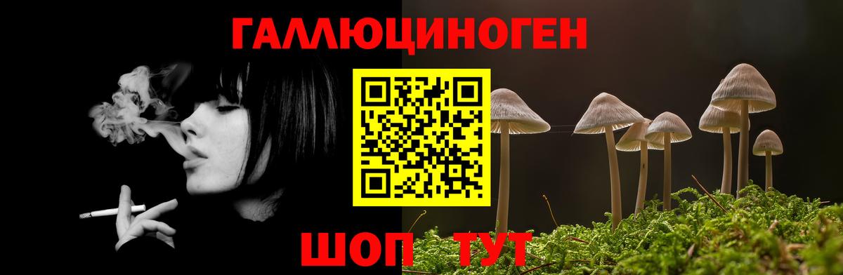 Галлюциногенные грибы Magic Shrooms Сургут
